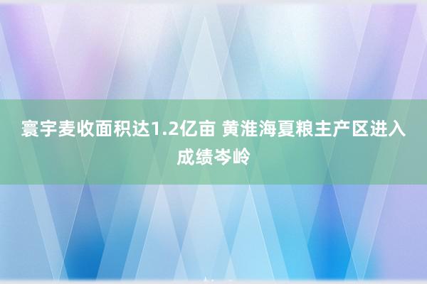 寰宇麦收面积达1.2亿亩 黄淮海夏粮主产区进入成绩岑岭