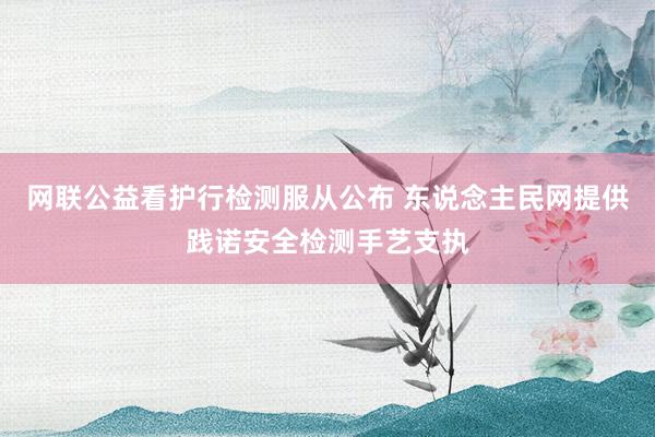 网联公益看护行检测服从公布 东说念主民网提供践诺安全检测手艺支执