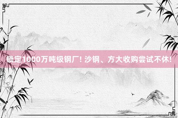 锁定1000万吨级钢厂! 沙钢、方大收购尝试不休!