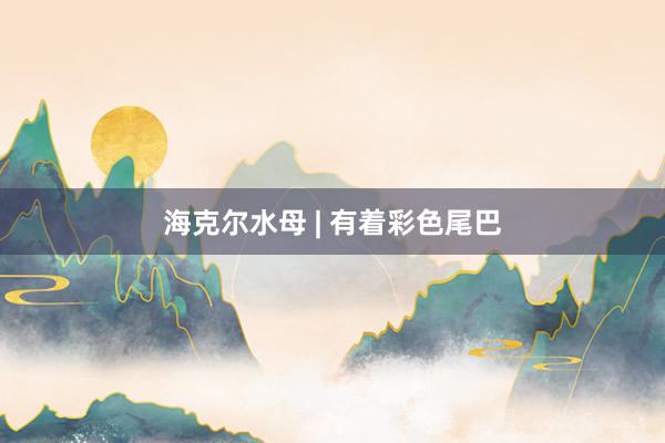 海克尔水母 | 有着彩色尾巴