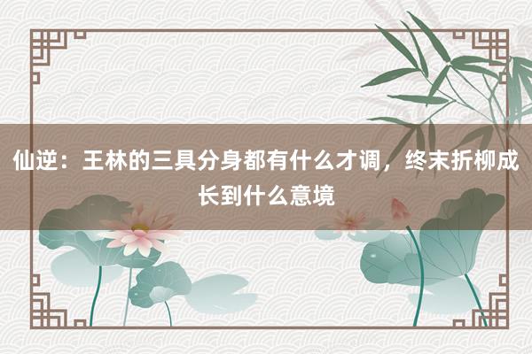 仙逆：王林的三具分身都有什么才调，终末折柳成长到什么意境