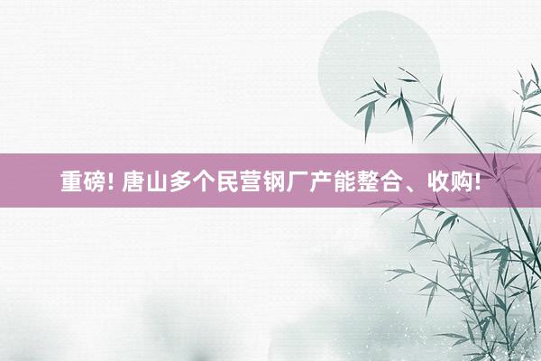 重磅! 唐山多个民营钢厂产能整合、收购!