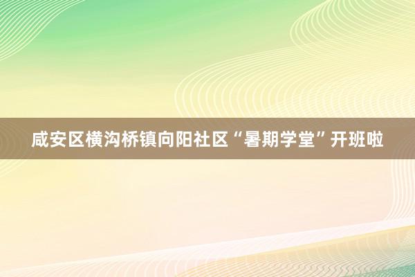 咸安区横沟桥镇向阳社区“暑期学堂”开班啦