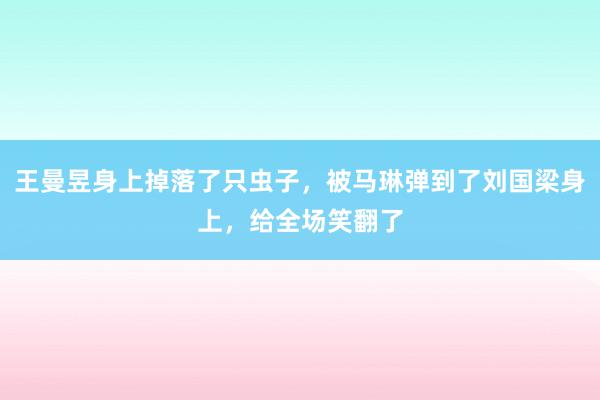 王曼昱身上掉落了只虫子，被马琳弹到了刘国梁身上，给全场笑翻了