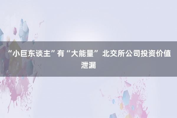 “小巨东谈主”有“大能量” 北交所公司投资价值泄漏