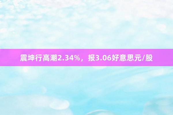 震坤行高潮2.34%，报3.06好意思元/股