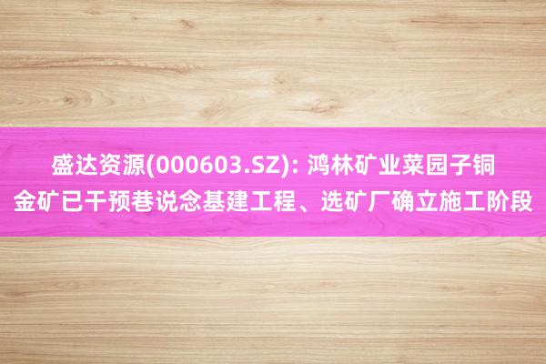 盛达资源(000603.SZ): 鸿林矿业菜园子铜金矿已干预巷说念基建工程、选矿厂确立施工阶段