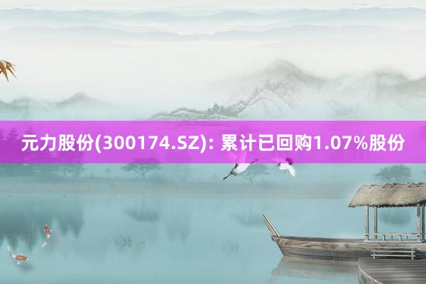 元力股份(300174.SZ): 累计已回购1.07%股份