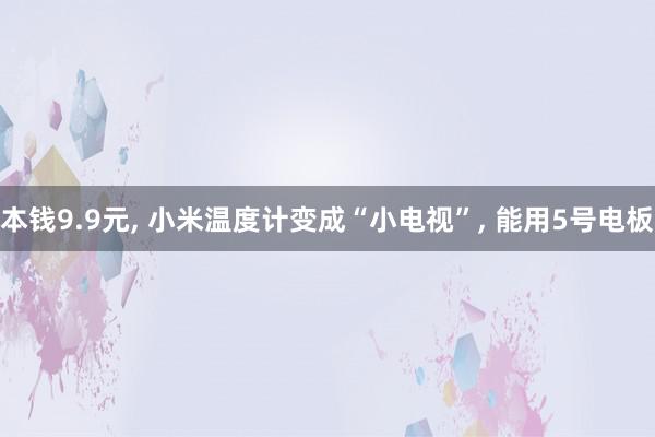 本钱9.9元, 小米温度计变成“小电视”, 能用5号电板