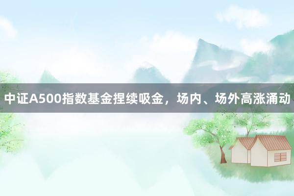 中证A500指数基金捏续吸金，场内、场外高涨涌动