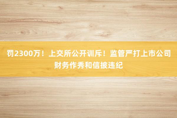 罚2300万！上交所公开训斥！监管严打上市公司财务作秀和信披违纪