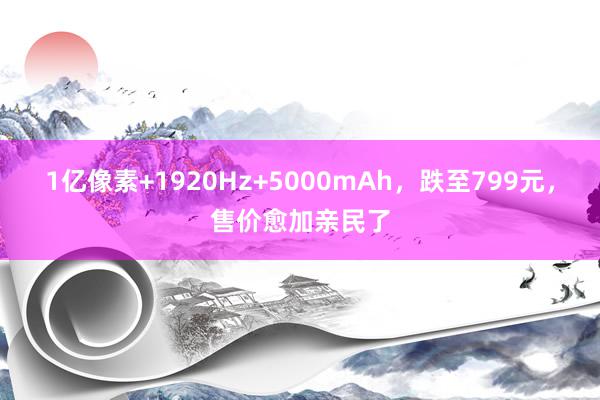 1亿像素+1920Hz+5000mAh，跌至799元，售价愈加亲民了